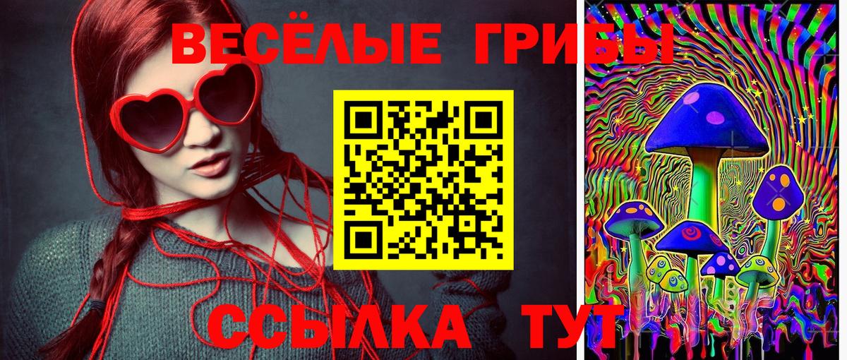 Сочи  Галлюциногенные грибы мицелий  Вход с VPN 